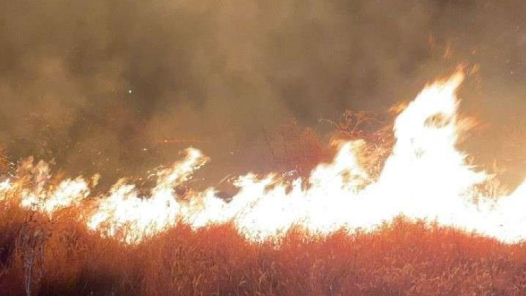 Incendiu de vegetaţie lângă Ploieşti se extinde pe 80 de hectare