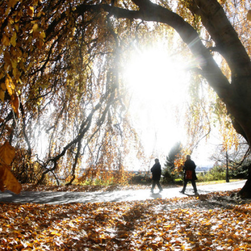 Noiembrie începe cu temperaturi neobișnuit de ridicate în toată țara